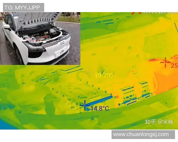 独家解析WE的力量对比与影响力深度剖析