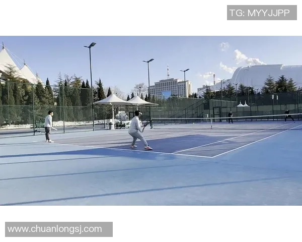 深入分析杭州网球队区域防守战术的特点与应用策略